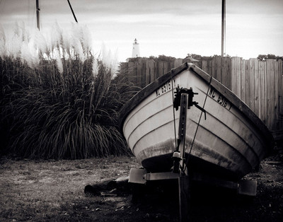 Photo by Kenneth Jackson